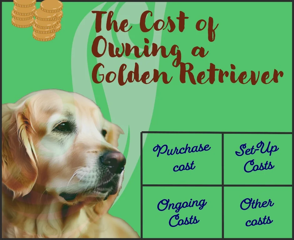 Golden Retriever Is It Right for You? DogHIB