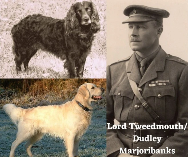 Lord tweedmouth or dudley marjoribanks photo with two retrievers photo