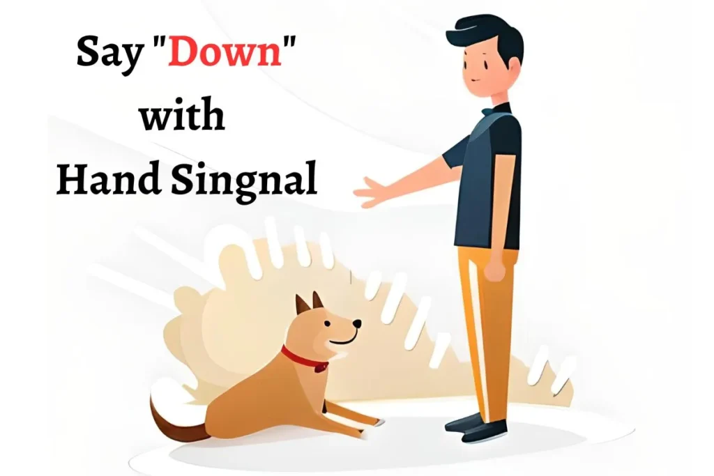 How to Teach a Dog to Lay Down (4 Steps) DogHIB
