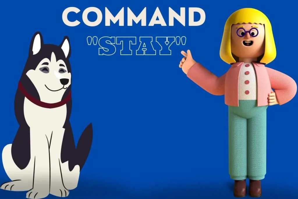 How to Teach a Dog to Stay (5 Steps) DogHIB