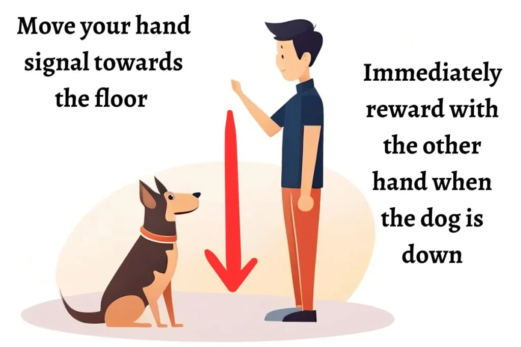 How to Teach a Dog to Lay Down (4 Steps) DogHIB