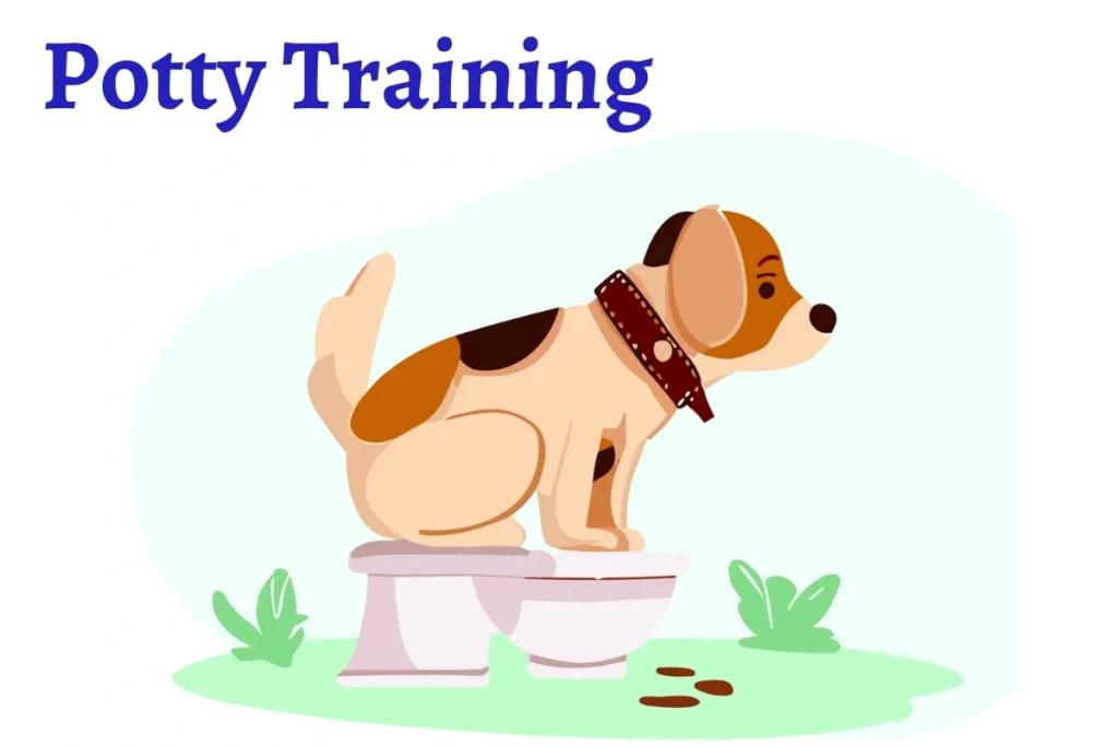 How to Potty Train a Puppy Complete Guide for Pet Parents DogHIB